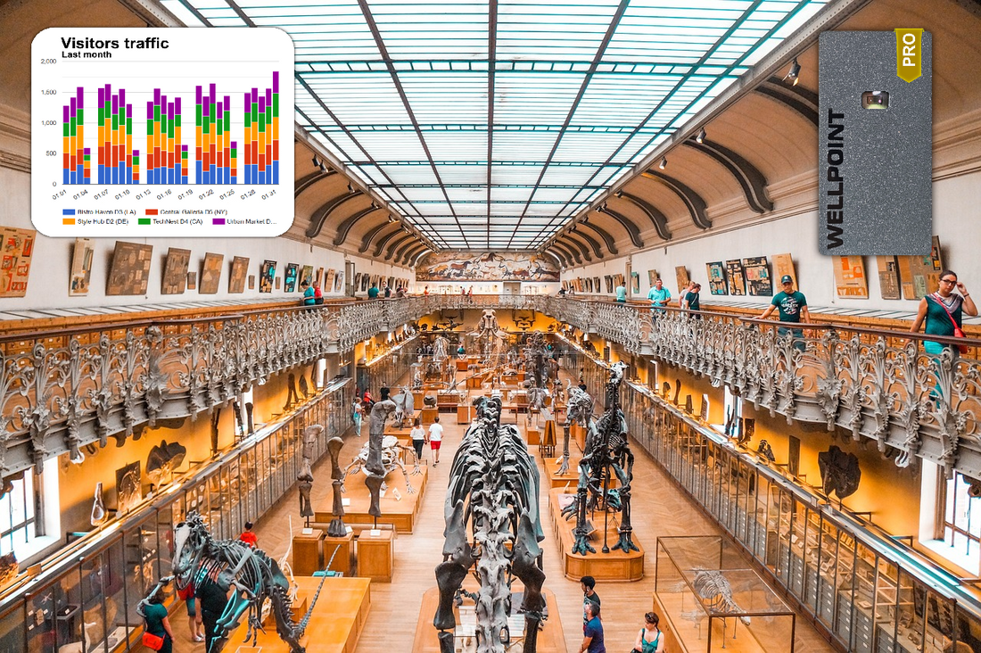 Art Meets Science: A Curator's Guide to Creating Exhibits with Visitor Data - blog