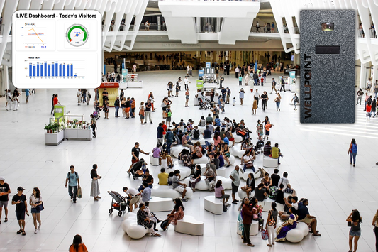 Visitor Analytics and Its Impact on Urban Planning with Wellpoint - blog