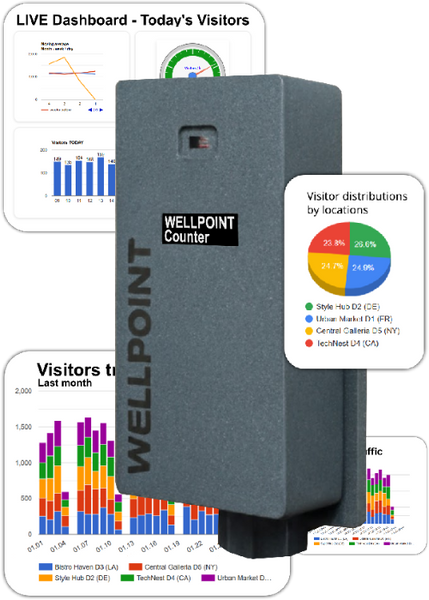 Visitor Counter and Analytics